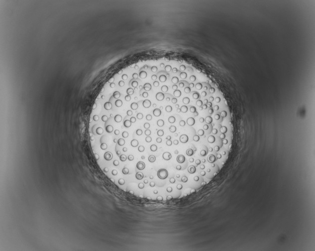 X0000116161302201001041106