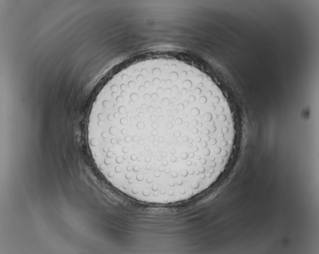 X0000116161305201001041106