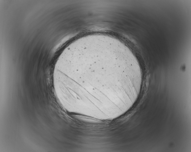 X0000116161306201001041106