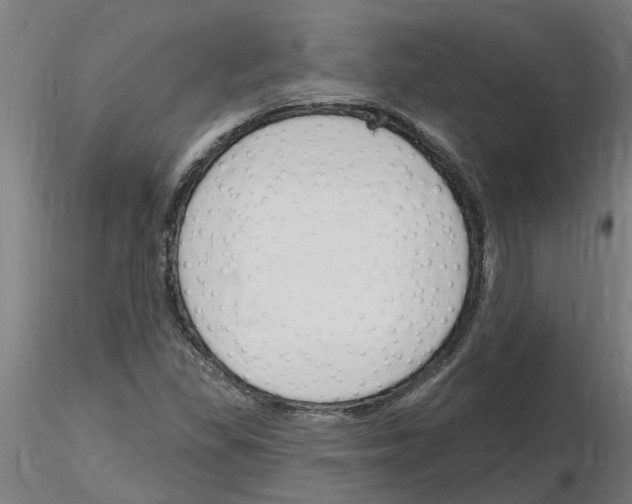 X0000116161309201001041106