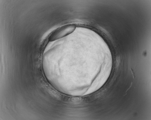 X0000116161310201001041106