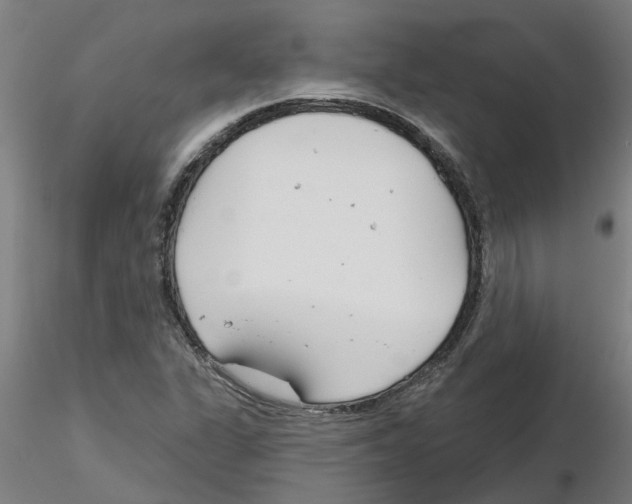 X0000116161311201001041106
