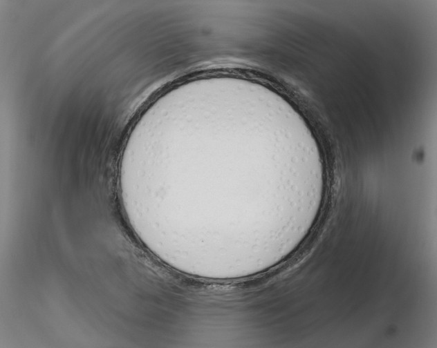 X0000116161313201001041106