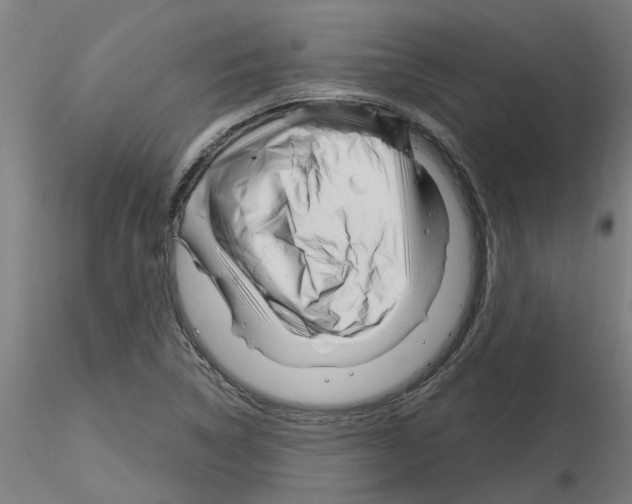 X0000116161314201001041106