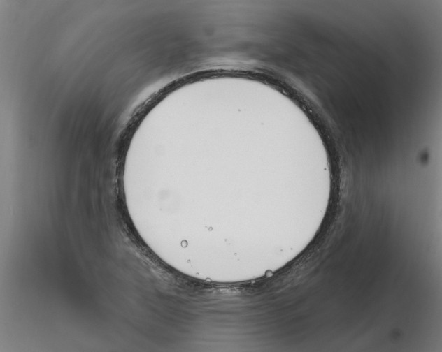 X0000116161315201001041106