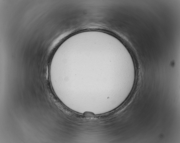 X0000116161317201001041106