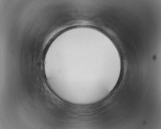 X0000116161318201001041106