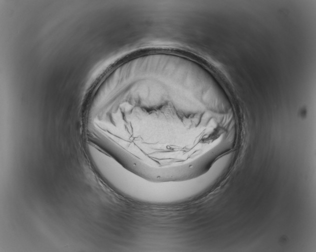 X0000116161319201001041106