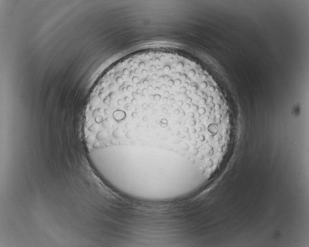 X0000116161321201001041106