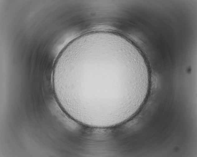 X0000116161322201001041106