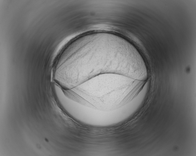 X0000116161323201001041106