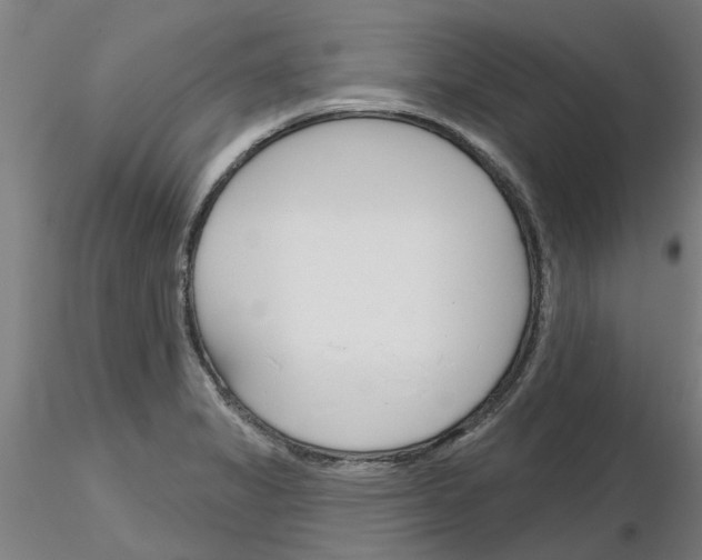 X0000116161325201001041106