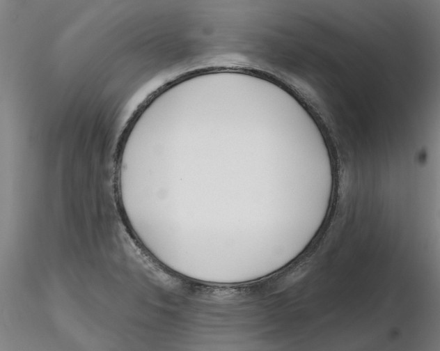 X0000116161326201001041106
