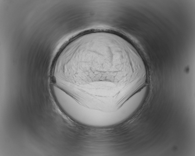 X0000116161327201001041106
