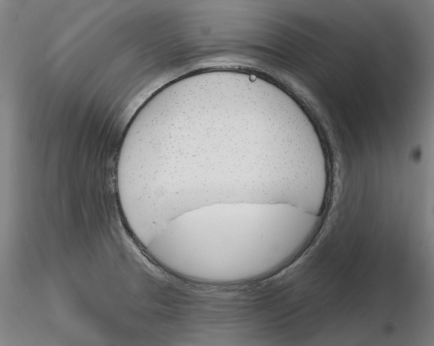 X0000116161329201001041106