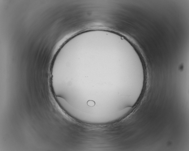 X0000116161333201001041106