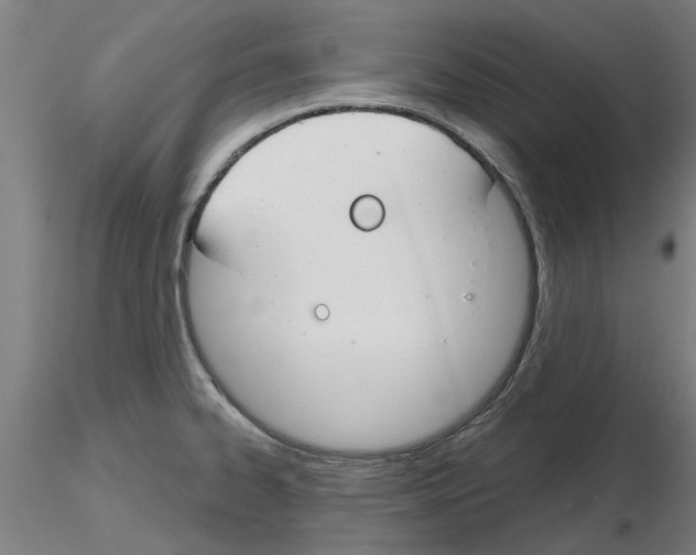 X0000116161334201001041106