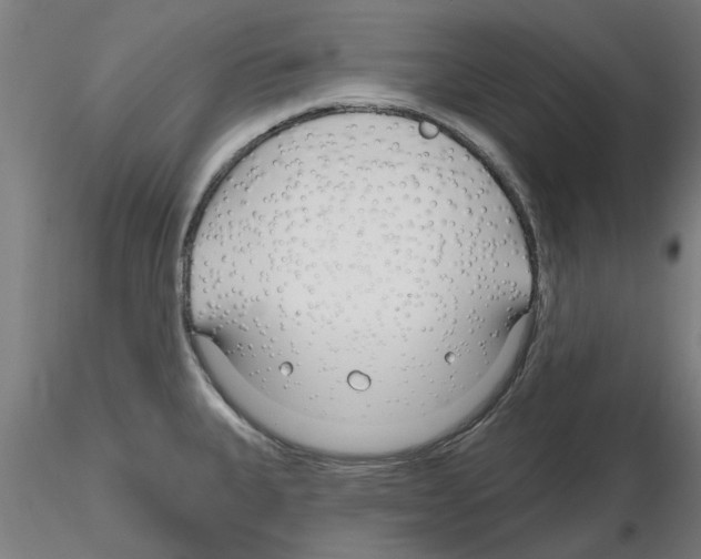 X0000116161335201001041106