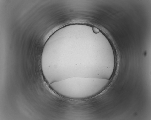 X0000116161337201001041106