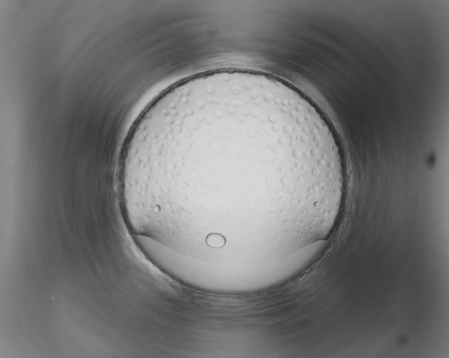 X0000116161339201001041106