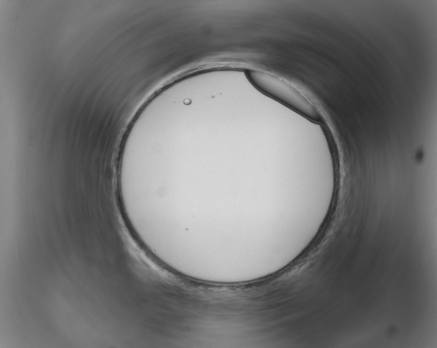 X0000116161341201001041106