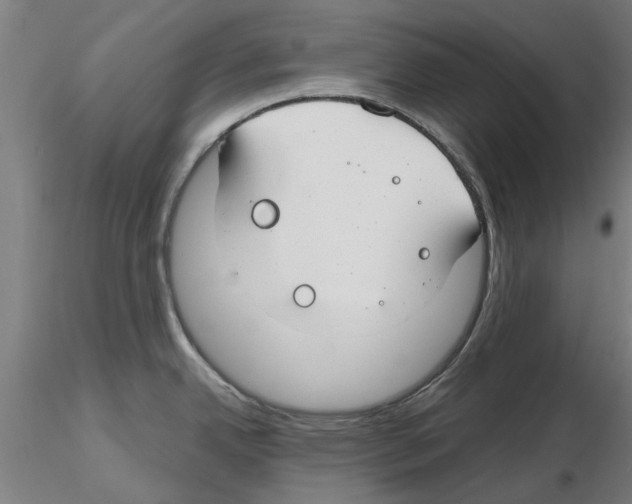 X0000116161342201001041106