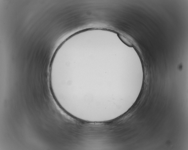 X0000116161343201001041106