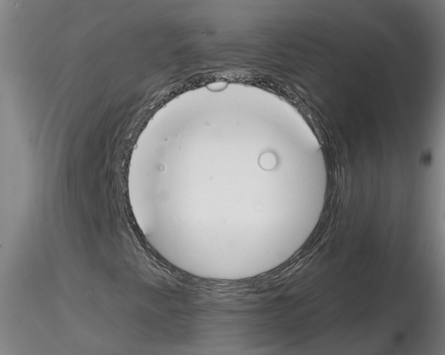 X0000116161345201001041106