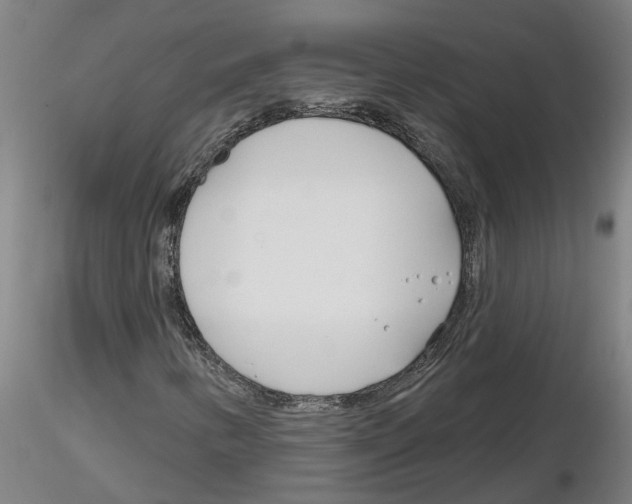 X0000116161346201001041106