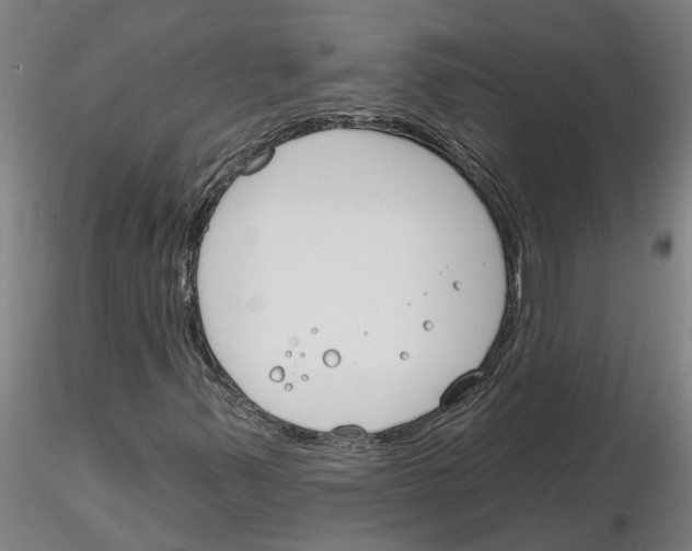 X0000116161347201001041106