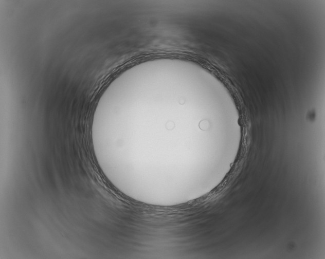 X0000116161348201001041106
