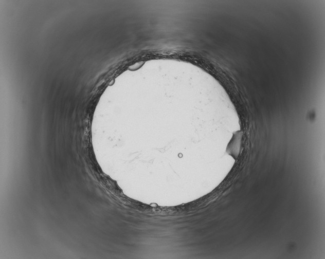X0000116161349201001041106