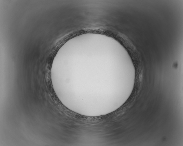 X0000116161350201001041105