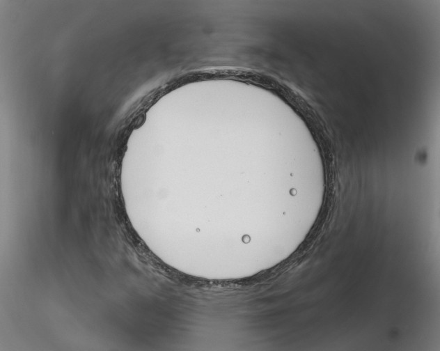 X0000116161351201001041105