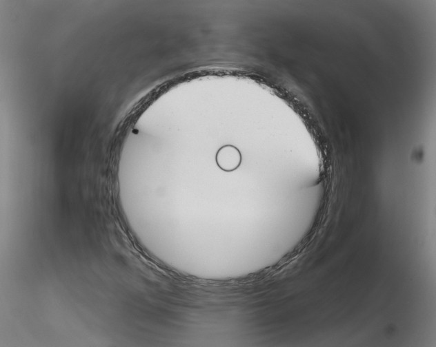 X0000116161352201001041105