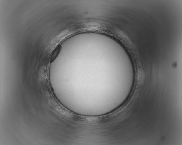 X0000116161353201001041105