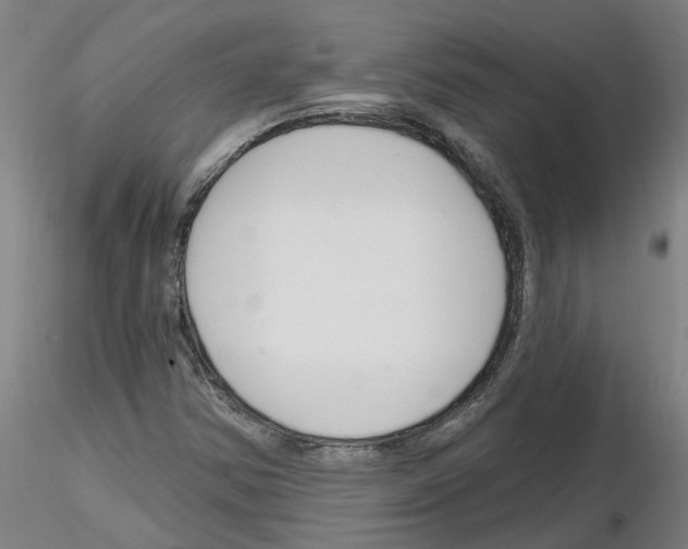 X0000116161354201001041105