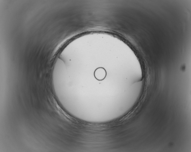 X0000116161356201001041105