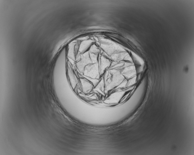 X0000116161357201001041105