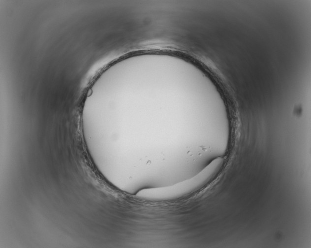 X0000116161358201001041105