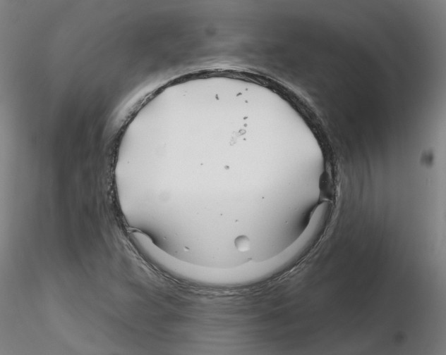 X0000116161359201001041105
