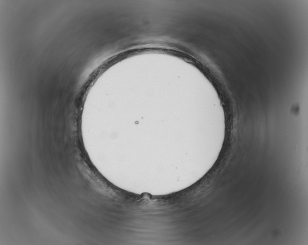 X0000116161360201001041105
