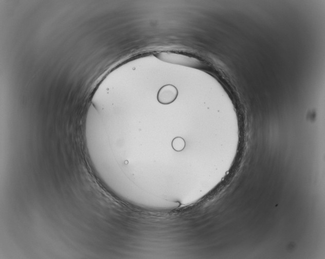 X0000116161361201001041105