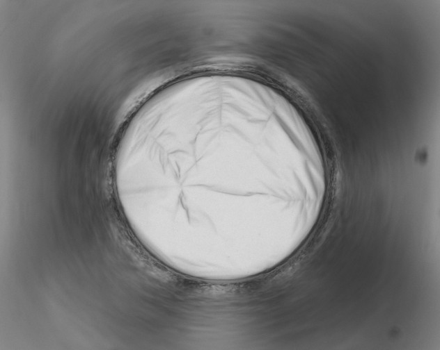 X0000116161362201001041105