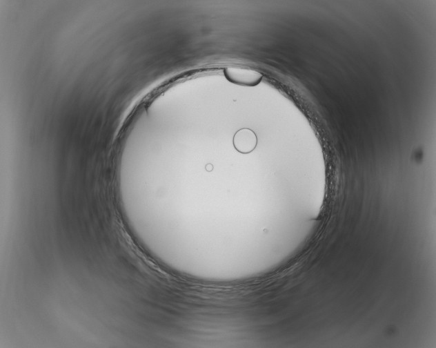 X0000116161364201001041105