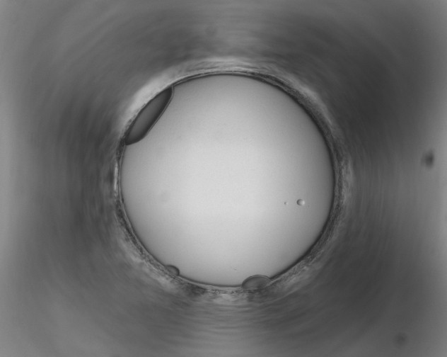 X0000116161365201001041105