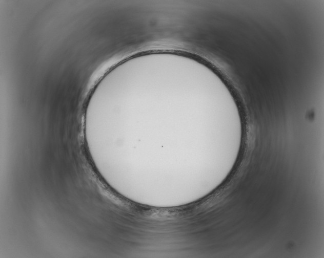 X0000116161366201001041105