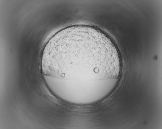 X0000116161367201001041105