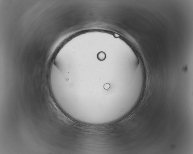 X0000116161368201001041105
