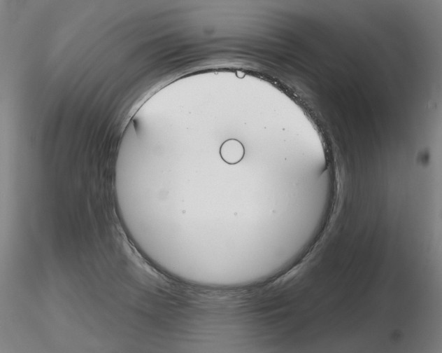 X0000116161369201001041105